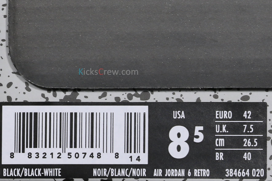 Nike Air Jordan 6 Retro Black cat 384664-020 01