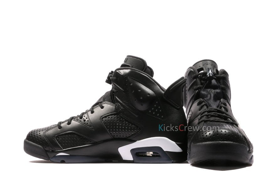 Nike Air Jordan 6 Retro Black cat 384664-020 01