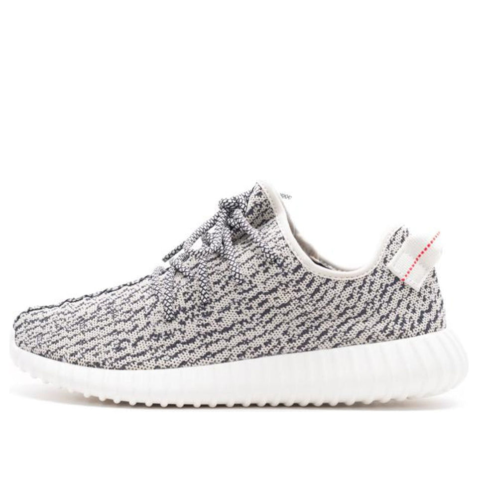 Adidas Yeezy Boost 350 'Turtle Dove' Turtle Dove/Blue Gray/Core White AQ4832 01