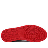 Nike Air Jordan 1 Retro High OG Homage To Home 861428-061 01