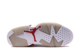 Nike Air Jordan 6 Retro Alternate 384664-113 01