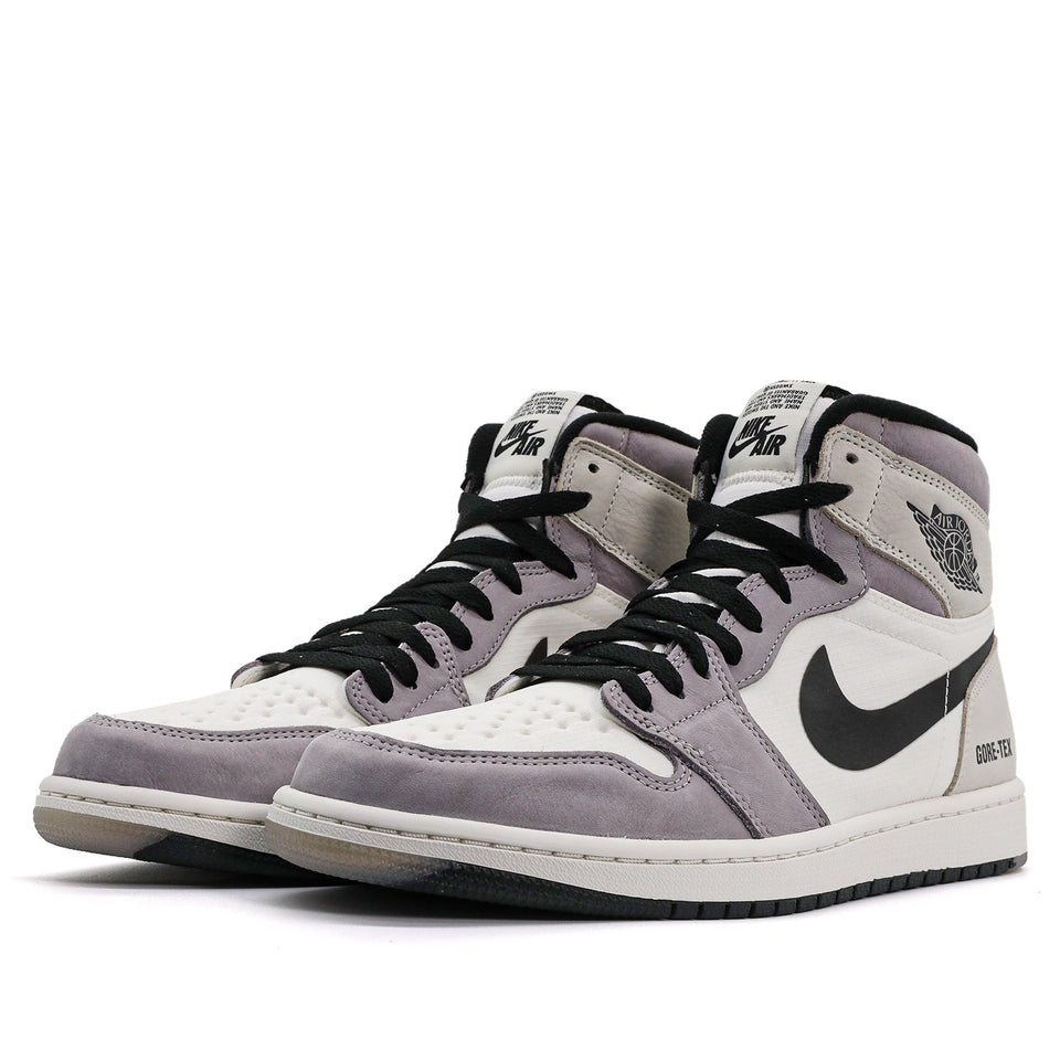 Nike Air Jordan 1 High Element Gore-Tex Light Bone DB2889-100 01