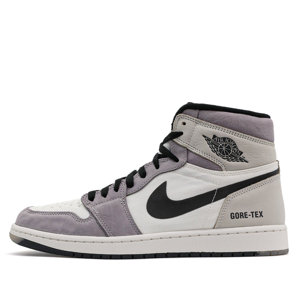 Nike Air Jordan 1 High Element Gore-Tex Light Bone DB2889-100 01