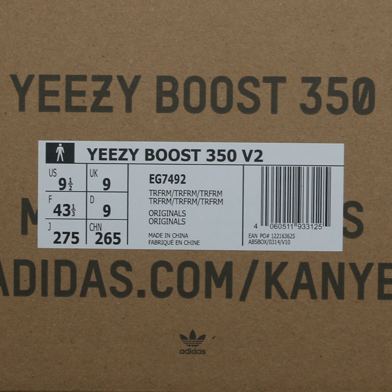Adidas Yeezy Boost 350 V2 True Form EG7492 01