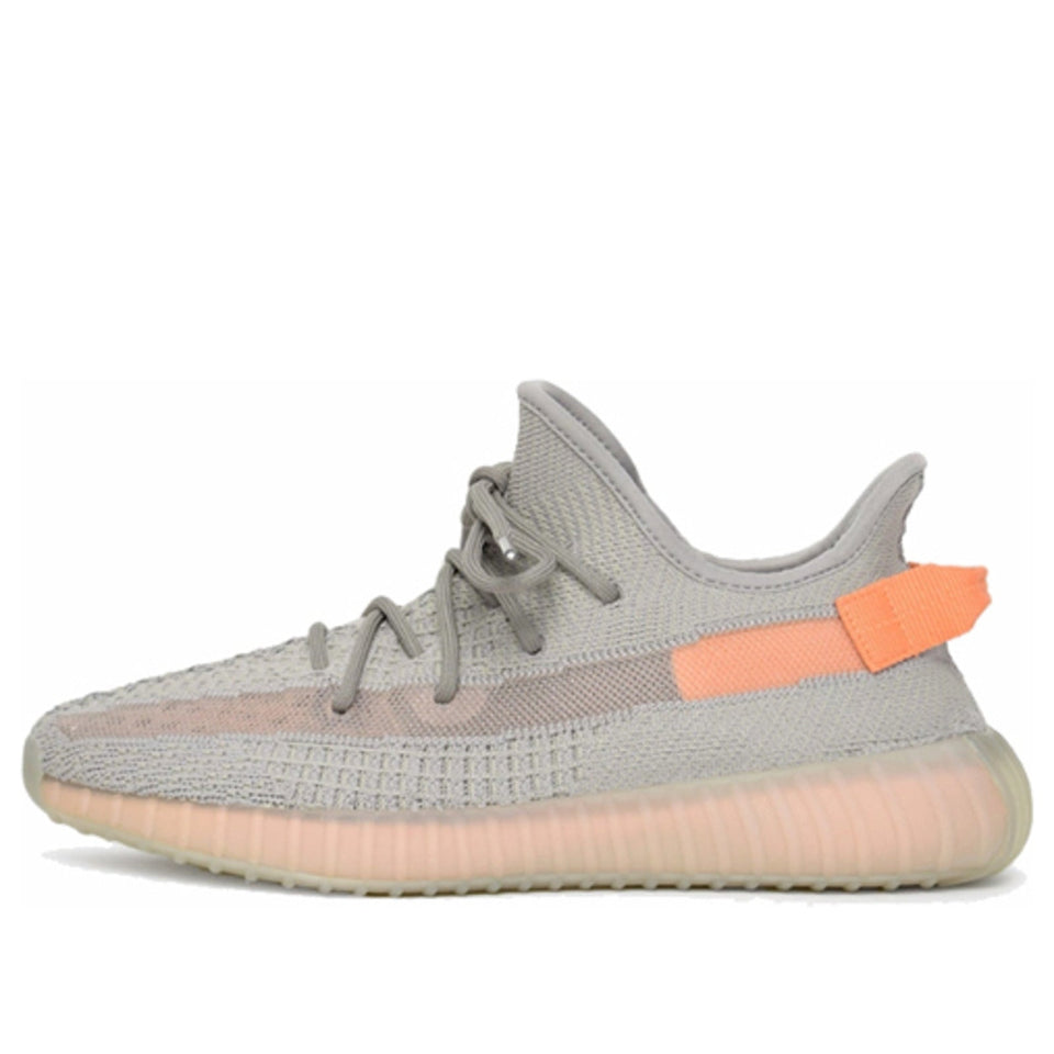 Adidas Yeezy Boost 350 V2 True Form EG7492 01