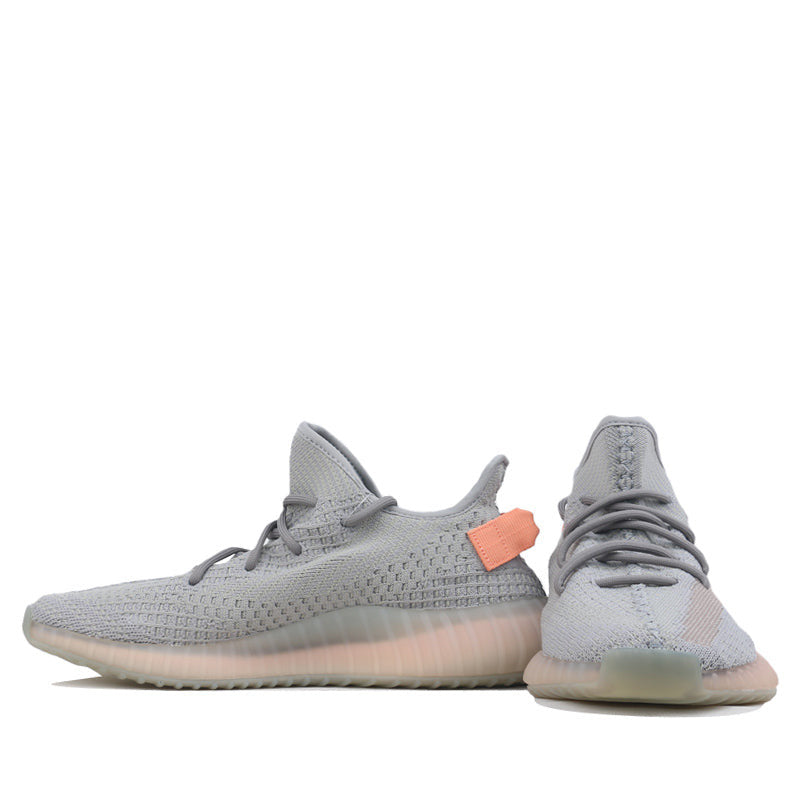 Adidas Yeezy Boost 350 V2 True Form EG7492 01