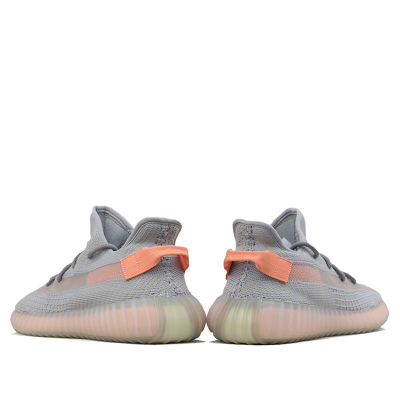 Adidas Yeezy Boost 350 V2 True Form EG7492 01