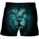 Red Lion 3D full over print Beach Shorts RL1