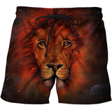Red Lion 3D full over print Beach Shorts RL1