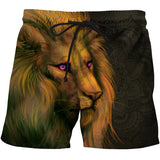 Red Lion 3D full over print Beach Shorts RL1
